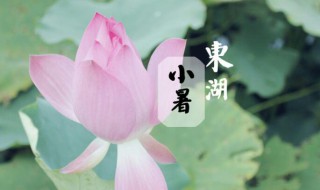 2021年小暑时间是几月几号（2021年的大暑,小暑是几月几日?星期几?）