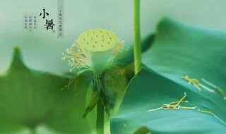 2021小暑节气的禁忌 2021年小暑节气的含义是什么意思