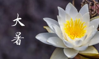 大暑是什么时候2021年 2021年的大暑是什么时候