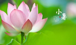 2021年小暑是阳历几月几日（2021年小暑是阳历几月几日）