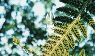 小暑是入伏第一天吗2021（小暑是入伏第一天吗）