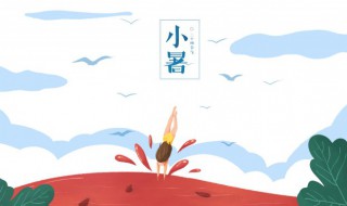 关于小暑谚语大全（关于小暑谚语大全图片）