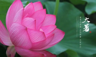 2021年大暑是几月几日（2021年大暑是几月几日几点几分）