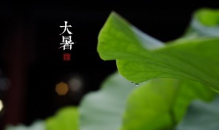 关于大暑的谚语有哪些（关于大暑的谚语有哪些四年级）