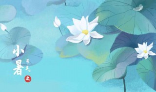 2021小暑节气的含义是什么意思 2021年小暑节气的含义是什么意思