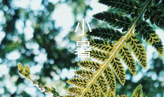 小暑时间代表什么? 小暑的时间代表的意思大暑的时间代表的意思