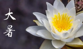 2021年大暑多少天（2021年大暑一共多少天）