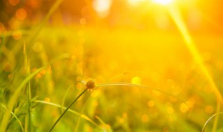 夏至入伏是怎么计算的 夏至后入伏怎么计算