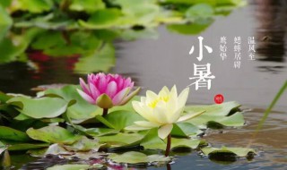 2021小暑大暑是什么时间 2021年大暑是什么时候