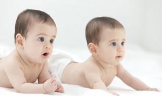 高贵有气质的男孩名字（高贵有气质的男孩名字四个字）