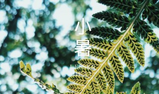 节气小暑是什么意思? 小大暑节气的含义是什么意思