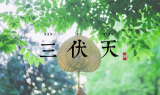 2021年三伏天时间表共多少天 2021年三伏天总共多少天