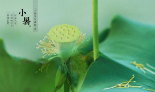 小暑是伏天吗 小暑是伏天吗?