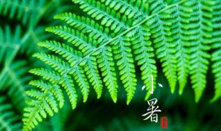 小暑大暑哪个热（小暑大暑哪个热?）