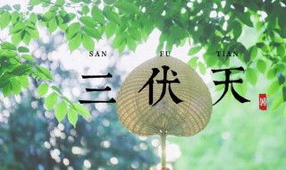 2021年初伏是几月几日（2021年初伏是几月几日哦）