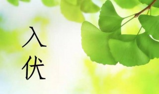 2021哪天入伏哪天出伏（2021年哪天入伏哪天出伏?）