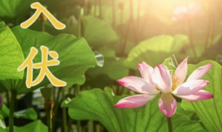 入伏时间2021（入伏时间2022是夏至吗）