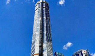 赛格大厦什么时候建的（赛格大厦建于哪年）