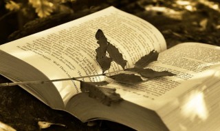 赞美对方时的注意事项（赞美对方时的注意事项怎么说）