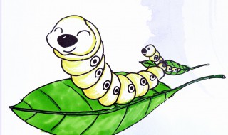 养蚕注意事项 养蚕注意事项有哪些