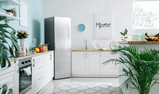 冰柜如何清洗 冰柜如何清洗散热器