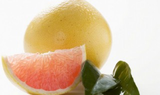 柚子开花要怎么处理才会结果? 柚子开花要怎么处理才会结果视频