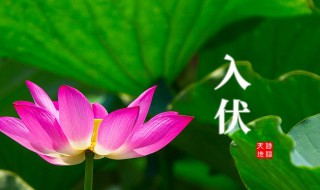 二零二一年入伏时间 二0二一年入伏时间