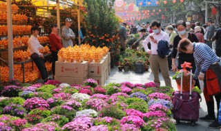 木绣球怎么养?（木绣球怎么养开花多）