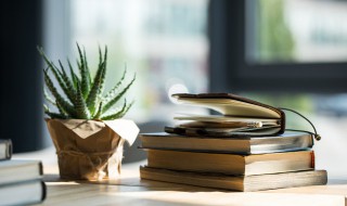 芦荟怎么养才能长的好?（芦荟怎么养才能长得好）