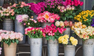 花束怎么能在水里养的时间更长?（花束需要放水里吗）