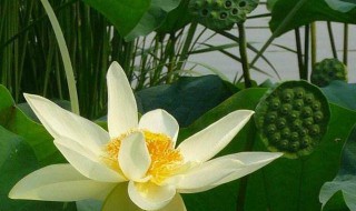 2021什么时候入伏（2021什么时候入伏表）