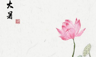 大暑时辰的具体时间 大暑时辰的具体时间是什么