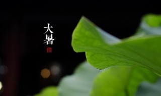 大暑是最热的一天吗（大暑是最热的一天吗英语）