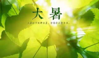 大暑过后气温下降吗（大暑后的天气变化）