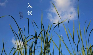 头伏是几月几号2021年（头伏是几月几号2021年几点）