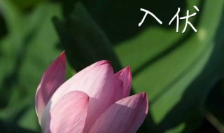 2021年头伏是哪一天（2021年头伏是哪一天百度）