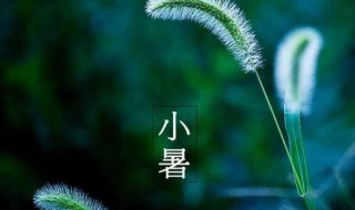 2021年小暑后第一个未日是什么时候（2021年小暑哪天）