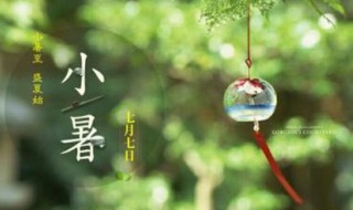 小暑出生的人好吗? 小暑出生的人命运如何