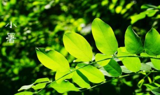 小暑节气的气候特点（小暑节气的气候特点是什么）