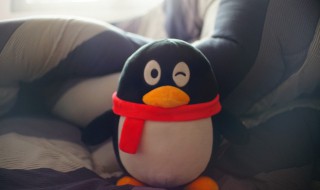 qq怎么解绑手机号（qq怎么解绑手机号不绑定新手机号）