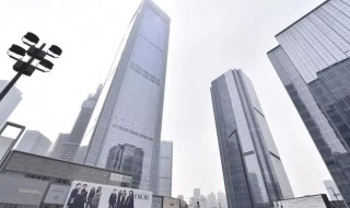 ifs是什么意思（外贸ifs是什么意思）