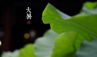 大暑有什么讲究?（小暑大暑有什么讲究）