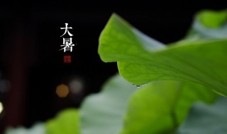 大暑养生要点讲解（大暑养生要点讲解图片）