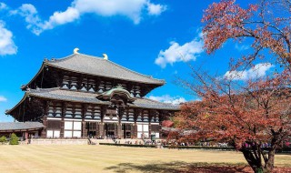 奈良是日本哪个城市（奈良在日本哪个城市）