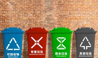 干电池属于什么垃圾（锌锰干电池属于什么垃圾）