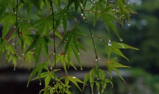 苏州梅雨季节是几月份（苏州梅雨季节是几月份2021）