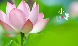 24节气小暑节气的含义是什么（24节气小暑大暑是什么意思）