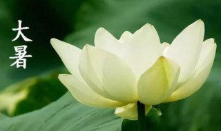 24节气大暑是什么意思（24节气小暑什么意思）