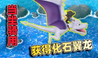 宝可梦大探险化石翼龙怎么培养?（宝可梦大探险化石翼龙怎么学尖石）