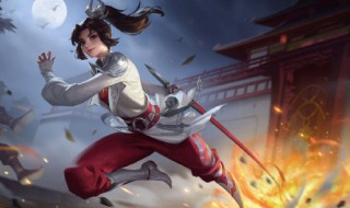 王者荣耀云缨职业定位是什么（王者云缨位置）